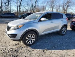 Salvage cars for sale at Cicero, IN auction: 2016 KIA Sportage LX