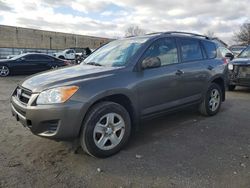 Salvage cars for sale at Baltimore, MD auction: 2012 Toyota Rav4