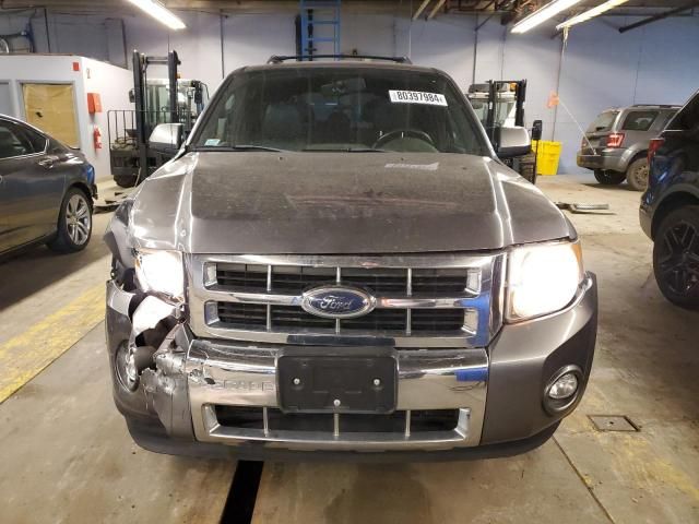 2009 Ford Escape Limited