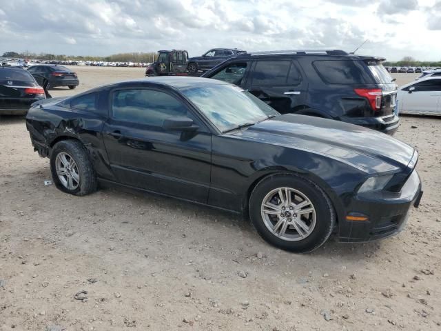 2013 Ford Mustang