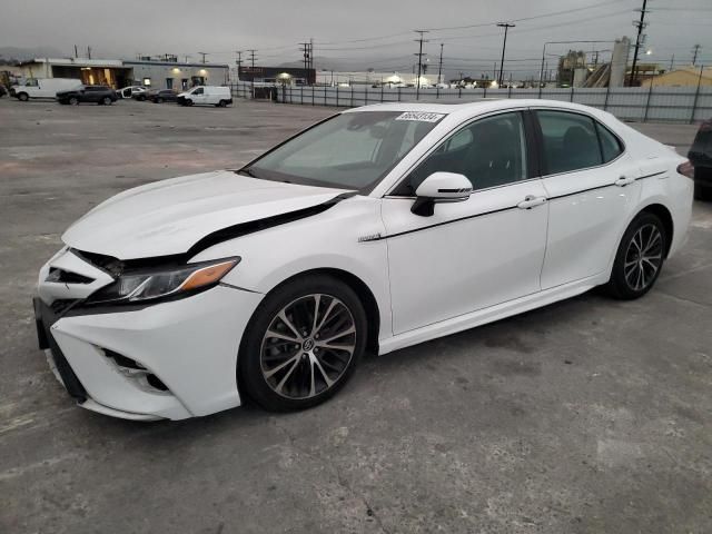 2019 Toyota Camry Hybrid