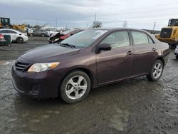 Salvage cars for sale at Eugene, OR auction: 2013 Toyota Corolla Base