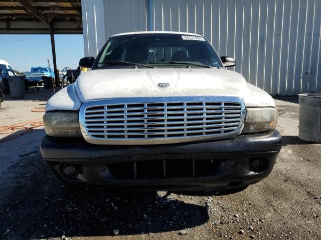 2000 Dodge Dakota