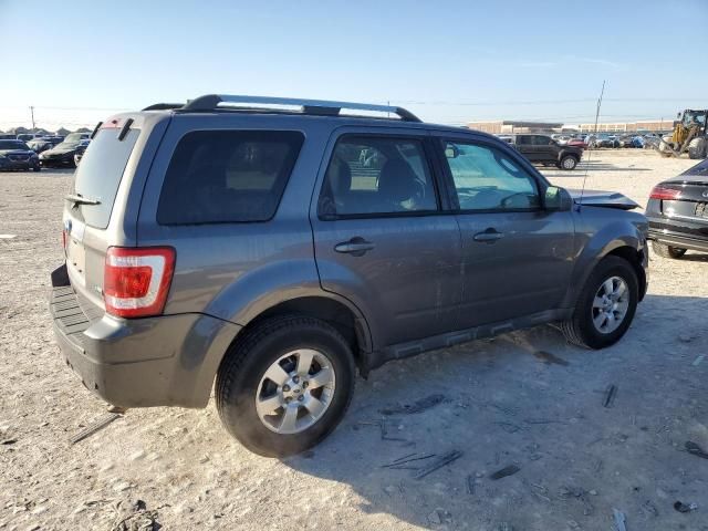 2011 Ford Escape Limited