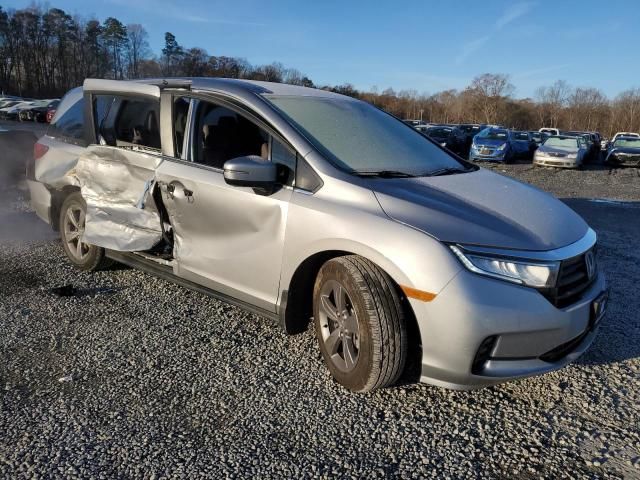 2024 Honda Odyssey EX