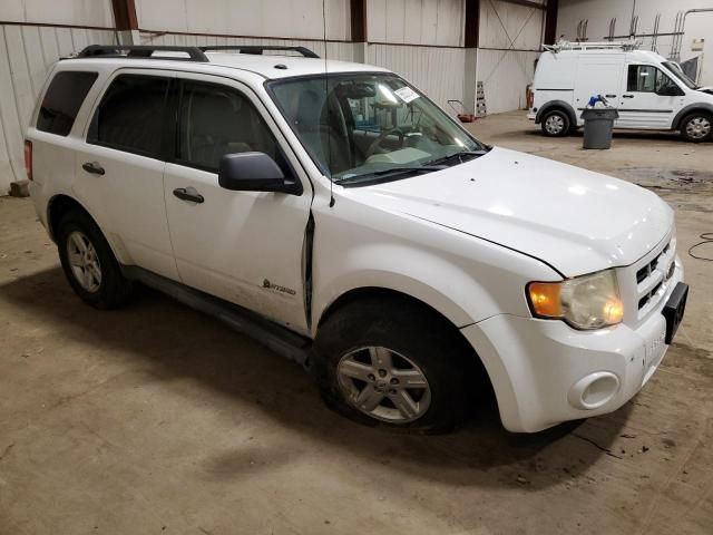 2010 Ford Escape Hybrid