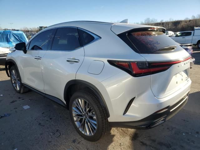 2023 Lexus NX 350