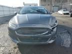 2014 Ford Fusion SE Hybrid