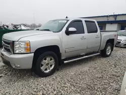 Salvage cars for sale at Wayland, MI auction: 2010 Chevrolet Silverado K1500 LTZ