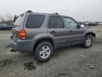 2005 Ford Escape XLT