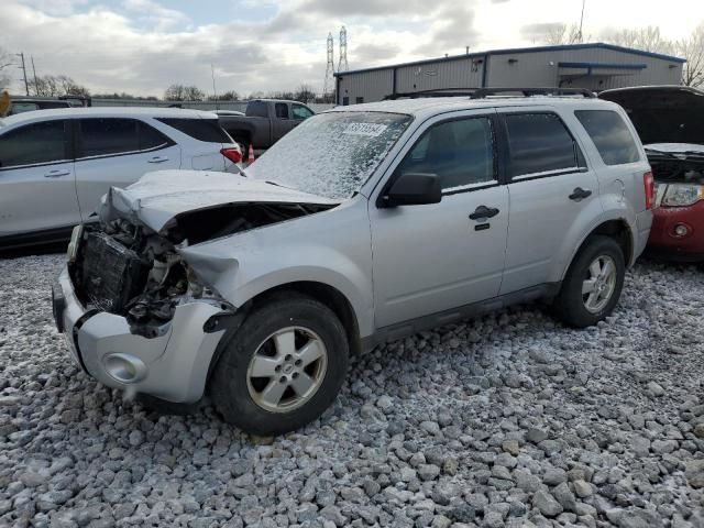 2011 Ford Escape XLT