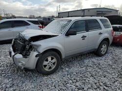 2011 Ford Escape XLT en venta en Barberton, OH