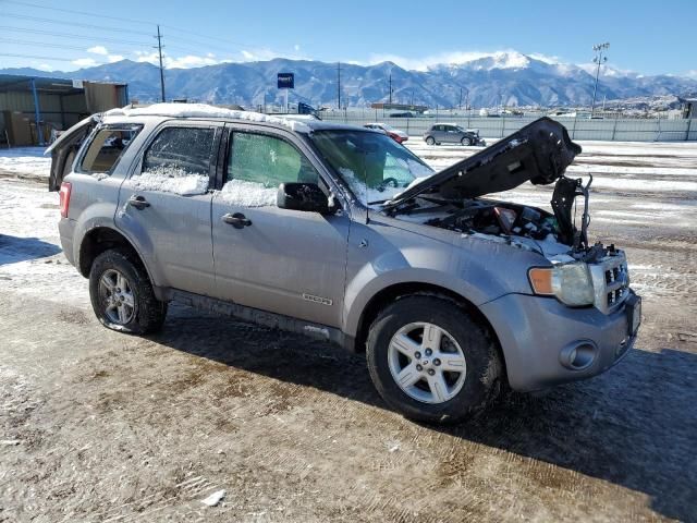 2008 Ford Escape HEV