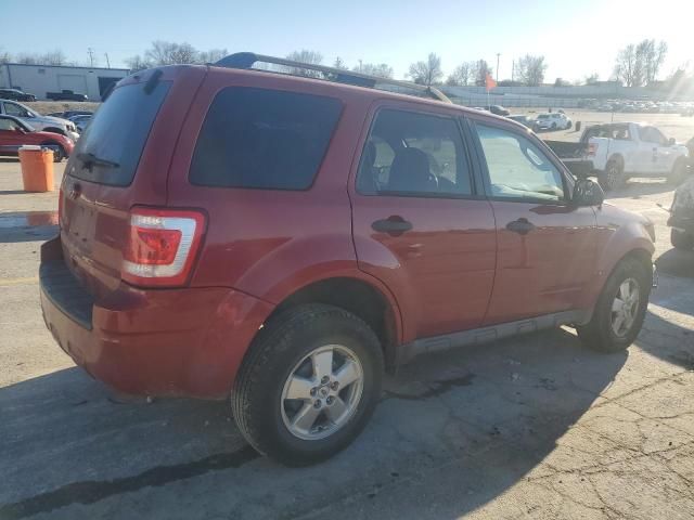 2010 Ford Escape XLT