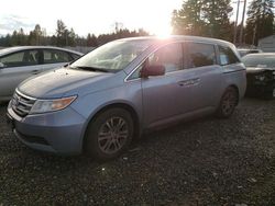 Salvage cars for sale from Copart Graham, WA: 2013 Honda Odyssey EXL