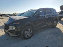 Salvage cars for sale from Copart Haslet, TX: 2023 Hyundai Santa FE SEL