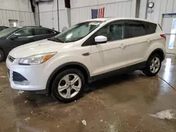 Salvage cars for sale at Franklin, WI auction: 2016 Ford Escape SE