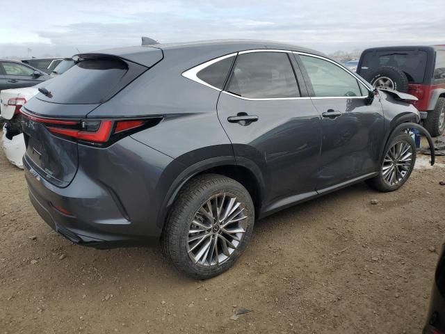 2025 Lexus NX 350 Premium