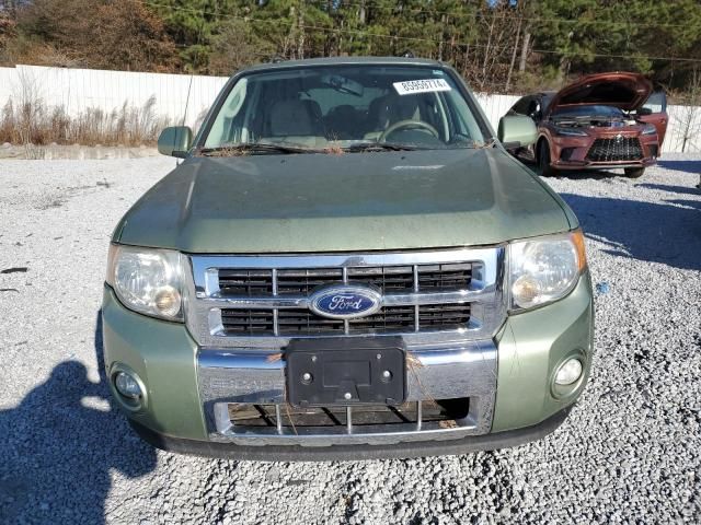 2010 Ford Escape Hybrid