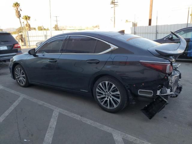 2020 Lexus ES 300H