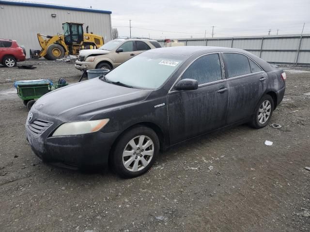 2008 Toyota Camry Hybrid