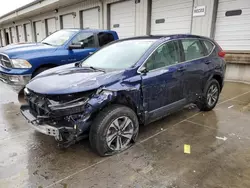 2018 Honda CR-V LX en venta en Louisville, KY