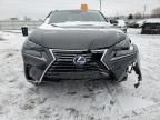 2019 Lexus NX 300H