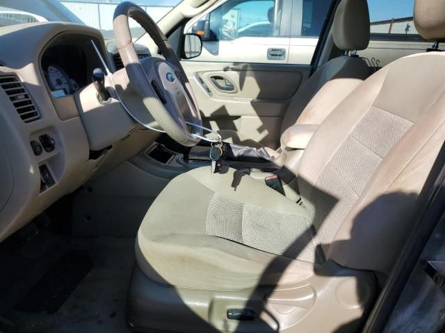 2006 Ford Escape XLT