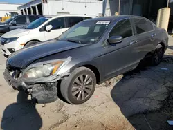 Salvage cars for sale at Riverview, FL auction: 2012 Honda Accord EXL