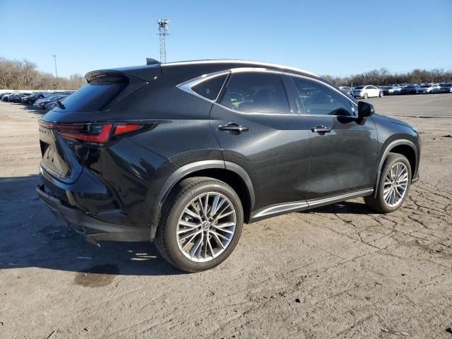 2022 Lexus NX 350