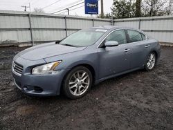 2010 Nissan Maxima S en venta en Hillsborough, NJ