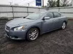 2010 Nissan Maxima S