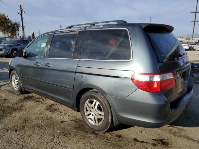 2005 Honda Odyssey EXL