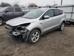 Salvage cars for sale at Sacramento, CA auction: 2013 Ford Escape SE