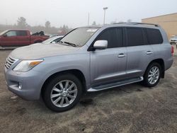 Salvage cars for sale at Gaston, SC auction: 2009 Lexus LX 570