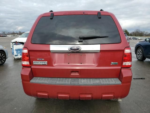 2010 Ford Escape Limited