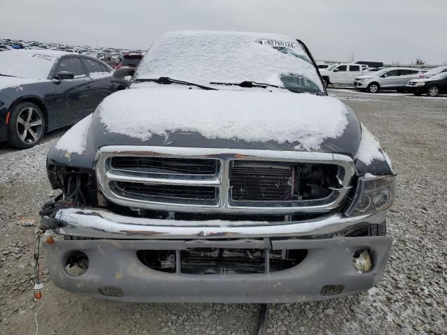 2004 Dodge Dakota SLT