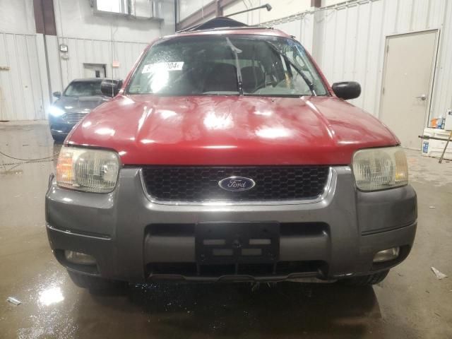 2003 Ford Escape XLT