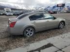 2006 Nissan Maxima SE