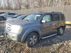 2009 Honda Pilot EXL en venta en Waldorf, MD