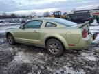 2005 Ford Mustang