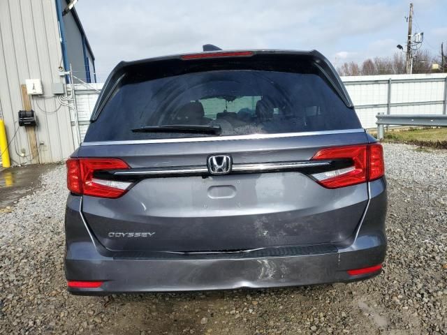 2024 Honda Odyssey EXL