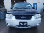 2007 Ford Escape XLT