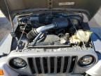 2001 Jeep Wrangler / TJ SE