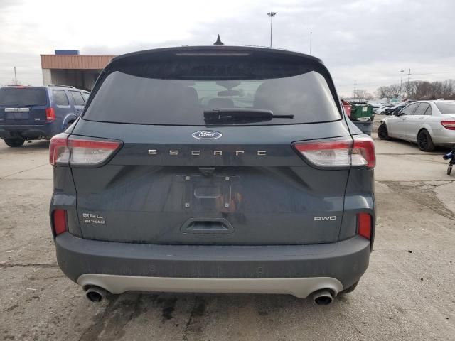 2022 Ford Escape SEL