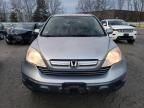 2007 Honda CR-V EXL