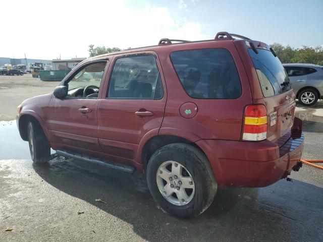 2007 Ford Escape Limited