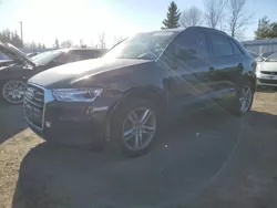 Audi Vehiculos salvage en venta: 2016 Audi Q3 Premium Plus