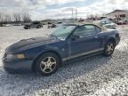 2002 Ford Mustang