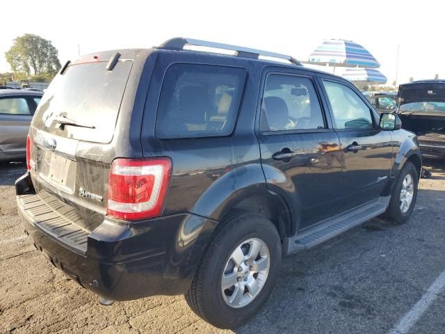 2009 Ford Escape Hybrid